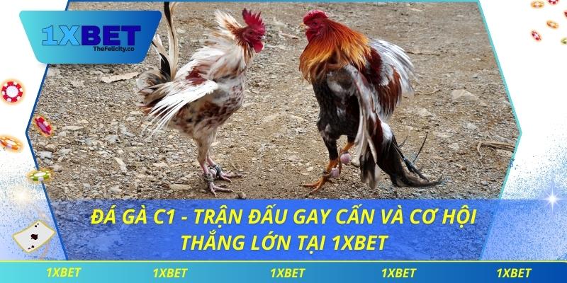 Đá Gà C1 - Trận Đấu Gay Cấn Và Cơ Hội Thắng Lớn Tại 1xbet Đá Gà C1 - Trận Đấu Gay Cấn Và Cơ Hội Thắng Lớn Tại 1xbet