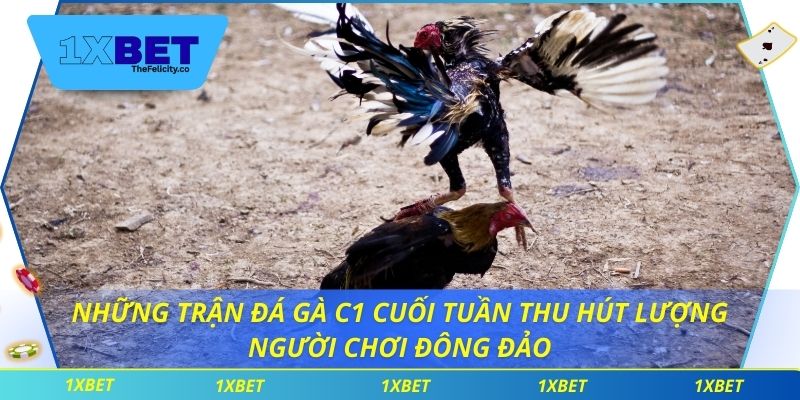 Đá Gà C1 - Trận Đấu Gay Cấn Và Cơ Hội Thắng Lớn Tại 1xbet Những trận đá gà c1 cuối tuần thu hút lượng người chơi đông đảo